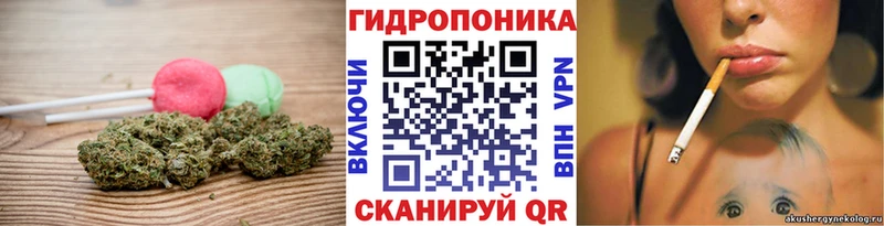 kraken ССЫЛКА Клин Cannafood конопля