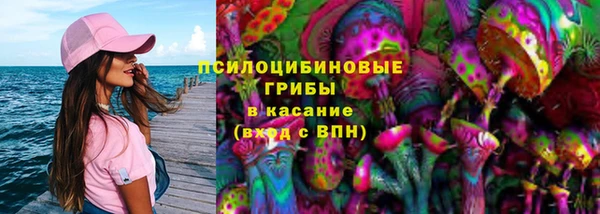 2c-b Белокуриха