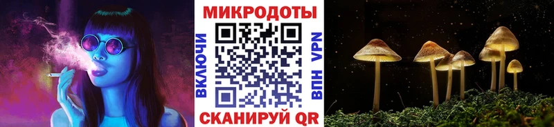 shop формула  Клин  Псилоцибиновые грибы Psilocybine cubensis 